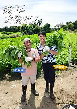 综艺乐队请就位手机免费在线观看