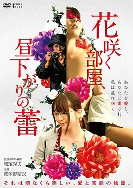 高清电影深蓝回声手机免费在线观看